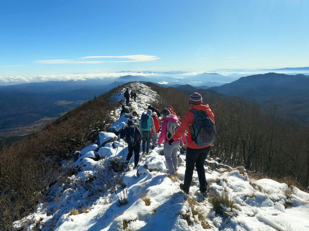 viber slika 2020 11 18 16 39 37 5